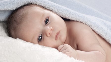 Более 700 новорождённых астраханцев зарегистрировали в ЗАГСе  в апреле
